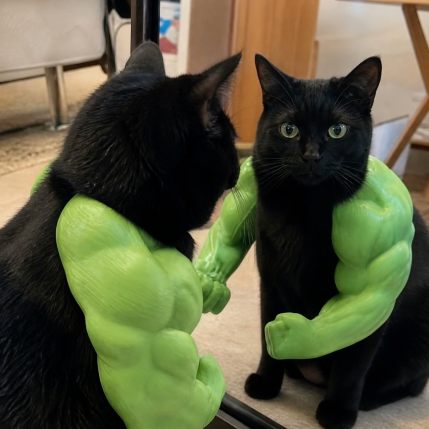 Swole Paws™ Muscle Cat Arms