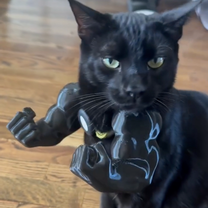 Meowscular Arms