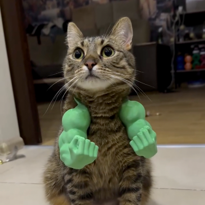 Meowscular Arms